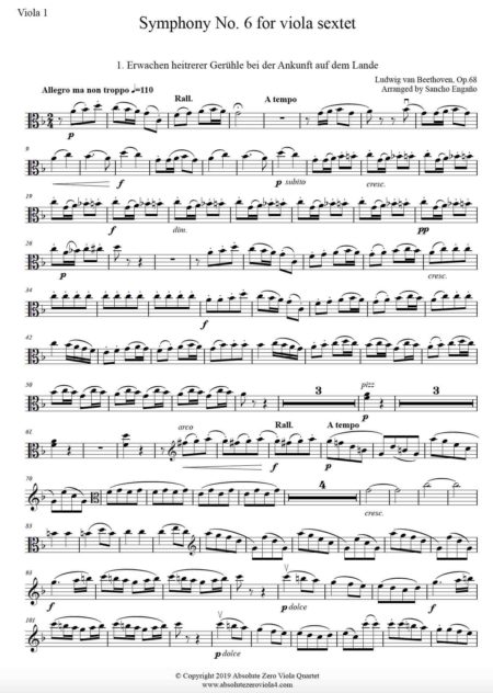 Beethoven - Symphony No.6 (1st mvt.) for 6 violas