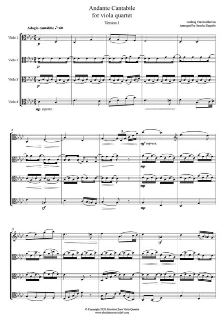 Beethoven - Andante Cantabile