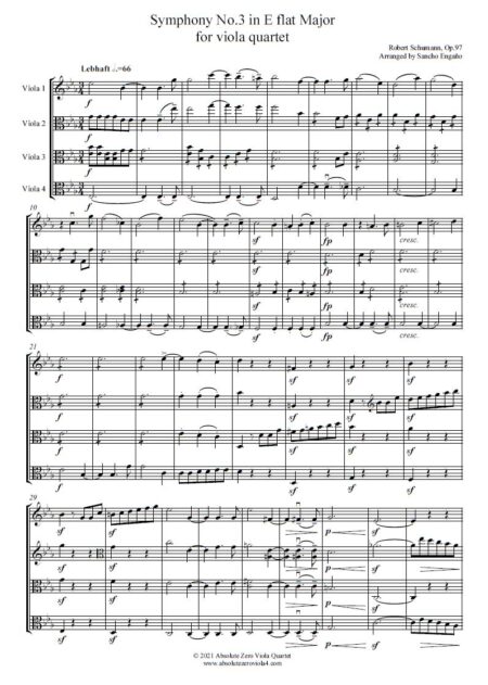 Schumann - Symphony No.3 (1st movement)