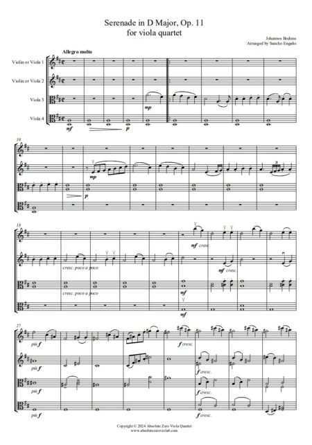 Brahms - Serenade Op.11 (1st mvt.)